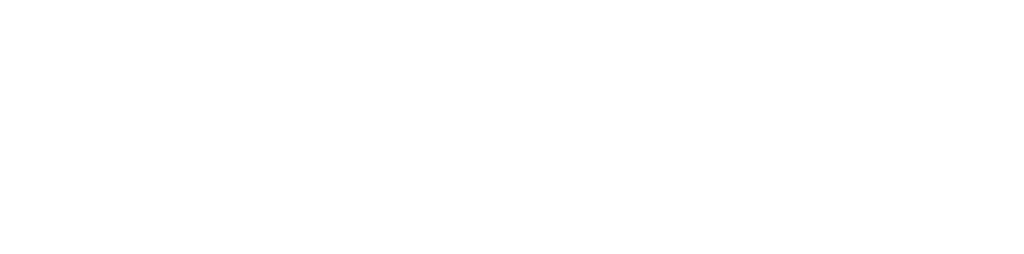 Logo wit, DroneVista